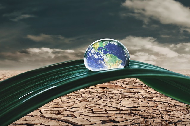 The Economics of Climate Change: Implications for Investors